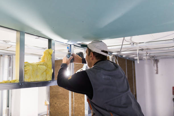 Best Commercial Insulation Contractor  in Murphysboro, IL