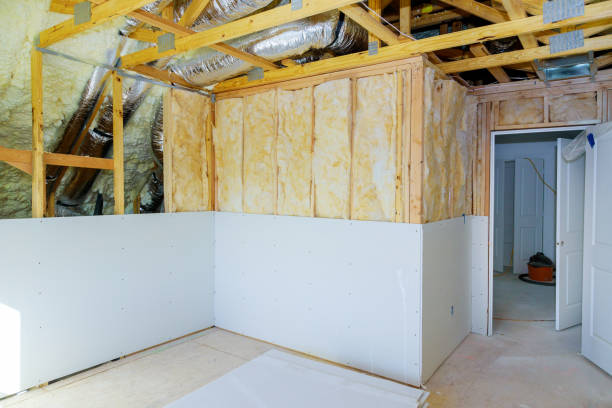 Best Insulation Inspection Services  in Murphysboro, IL