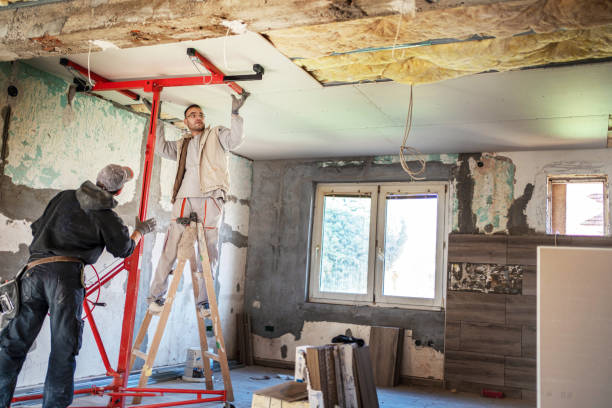 Best Insulation Removal  in Murphysboro, IL