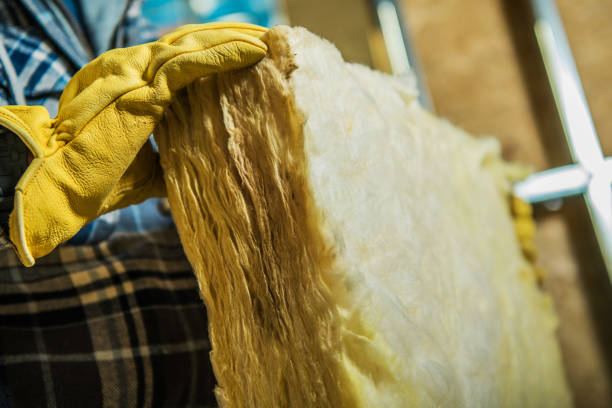 Trusted Murphysboro, IL Insulation Contractor Experts