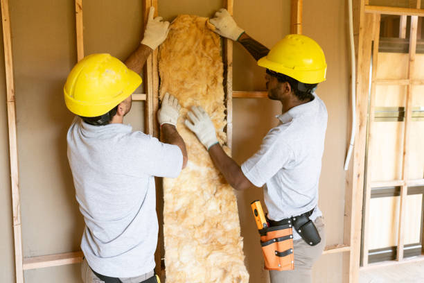 Best Local Insulation Services  in Murphysboro, IL