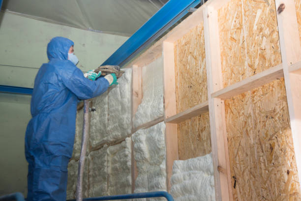 Best Energy-efficient Insulation  in Murphysboro, IL