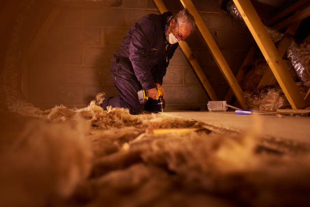 Best Attic Insulation Installation  in Murphysboro, IL