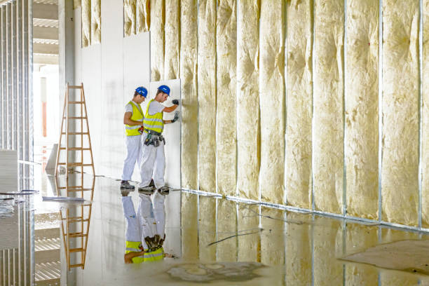 Best Crawl Space Insulation  in Murphysboro, IL